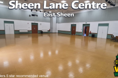 kids-car-driving-parties-sw-london-East-Sheen