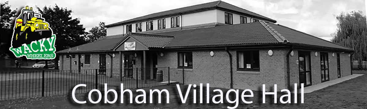 kids parties at cobham village hall